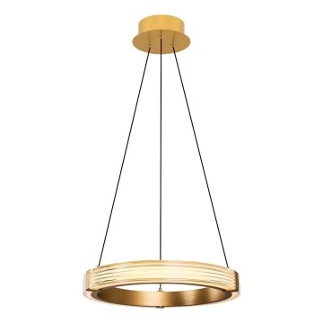 LED Pendant Light on Cable JESI LED/22W/230V 3000K Ø 40 cm Gold