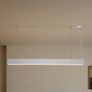 LED Pendant Light on Cable LED/55W/230V 3000/4000/6500K 120 cm white
