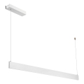 LED Pendant Light on Cable LINEA LED/36W/230V 3000/4000/5700K CRI 90 white