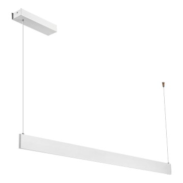 LED Pendant Light on Cable LINEA LED/36W/230V 3000/4000/5700K CRI 90 white