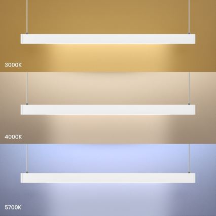 LED Pendant Light on Cable LINEA LED/36W/230V 3000/4000/5700K CRI 90 white