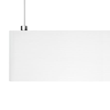 LED Pendant Light on Cable LINEA LED/36W/230V 3000/4000/5700K CRI 90 white