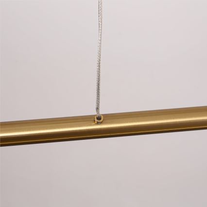 LED pendant light on cable MELECA LED/36W/230V 3000/4000/6000K 160 cm gold
