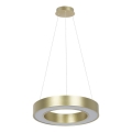 LED pendant light on cable UNION LED, 40 W / 230 V, 3000/4000/6500 K, Ø 40 cm, gold