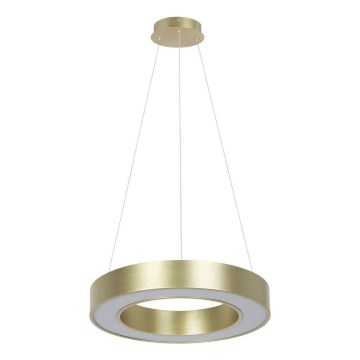 LED pendant light on cable UNION LED, 40 W / 230 V, 3000/4000/6500 K, Ø 40 cm, gold