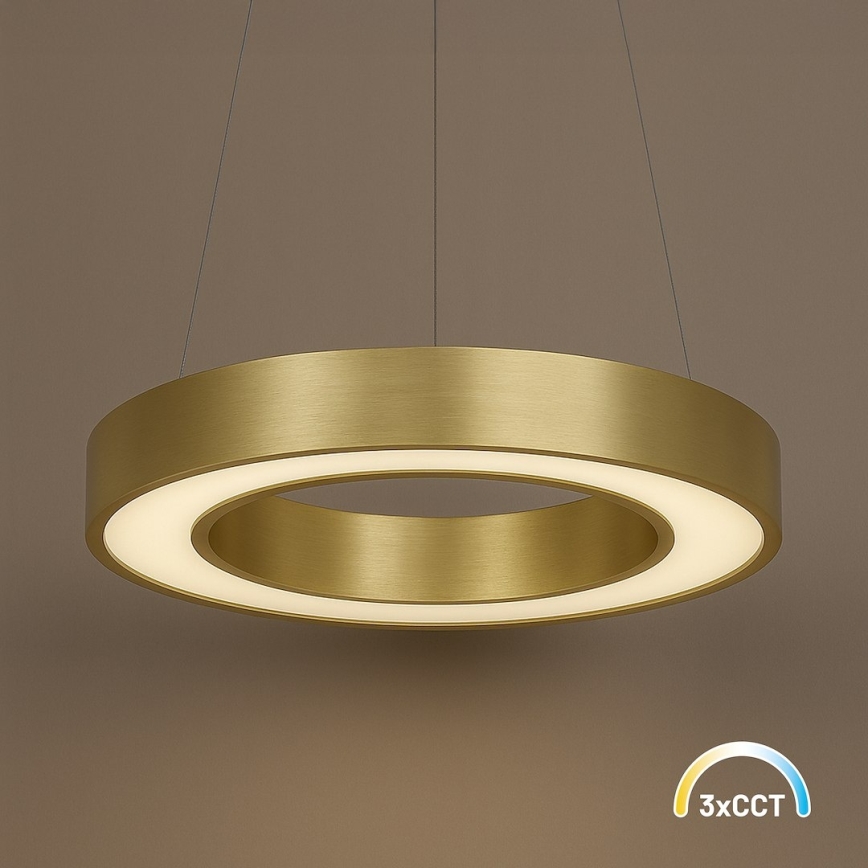 LED pendant light on cable UNION LED, 40 W / 230 V, 3000/4000/6500 K, Ø 40 cm, gold