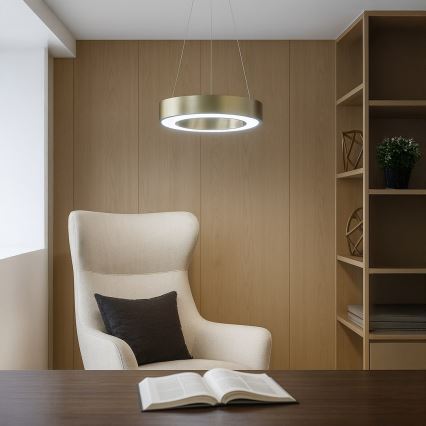 LED pendant light on cable UNION LED, 40 W / 230 V, 3000/4000/6500 K, Ø 40 cm, gold