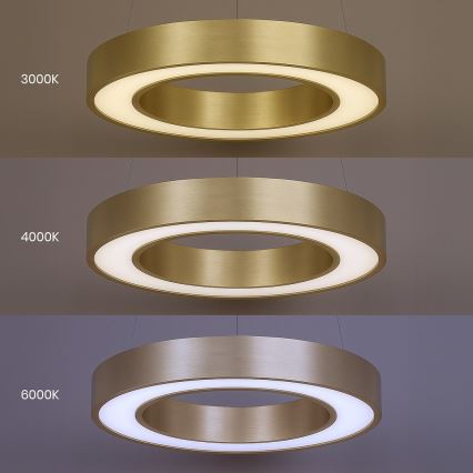 LED pendant light on cable UNION LED, 40 W / 230 V, 3000/4000/6500 K, Ø 40 cm, gold