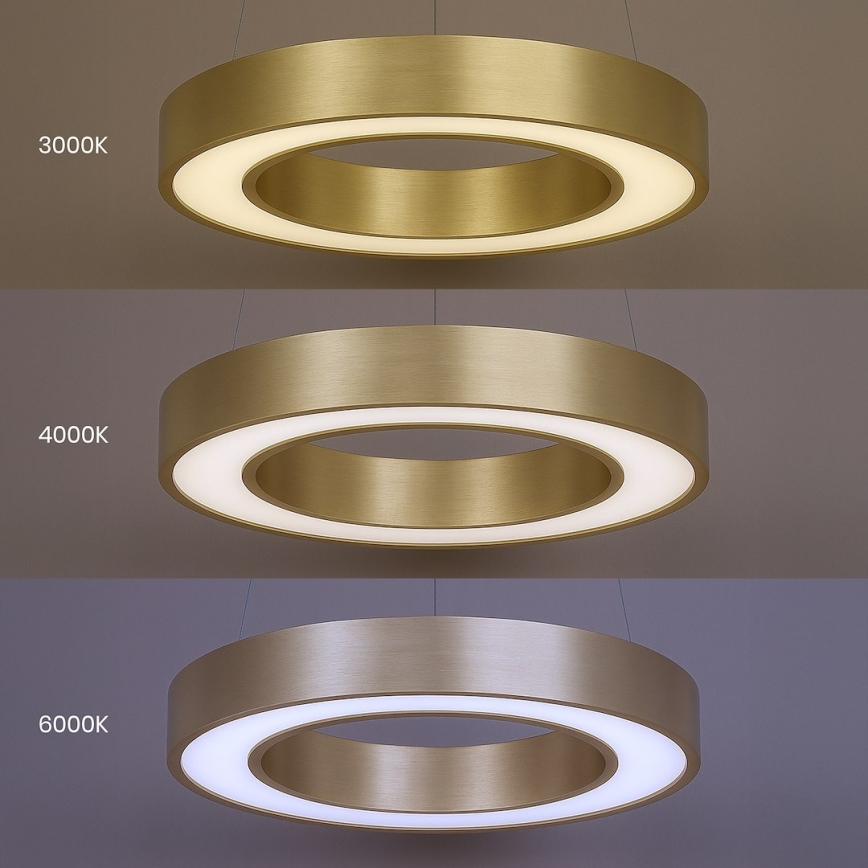 LED pendant light on cable UNION LED, 40 W / 230 V, 3000/4000/6500 K, Ø 40 cm, gold