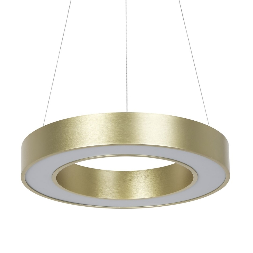 LED pendant light on cable UNION LED, 40 W / 230 V, 3000/4000/6500 K, Ø 40 cm, gold