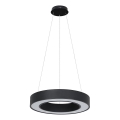 LED pendant light on cable UNION LED/40W/230V 3000/4000/6500K Ø 40 cm black