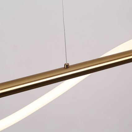 LED pendant on cable MELECA LED/24W/230V 3000/4000/6000K 100 cm gold