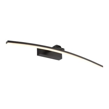 LED Picture light LED/10W/230V 4000Κ 50 cm black
