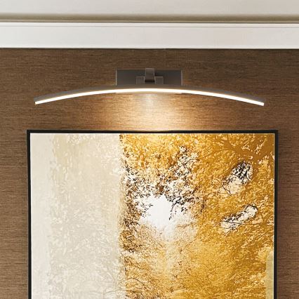 LED Picture light LED/10W/230V 4000Κ 50 cm black