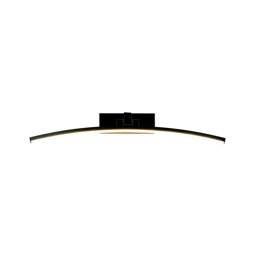 LED Picture light LED/10W/230V 4000Κ 50 cm black