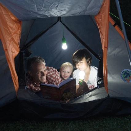 LED Portable lamp LED/1W/3xAAA green