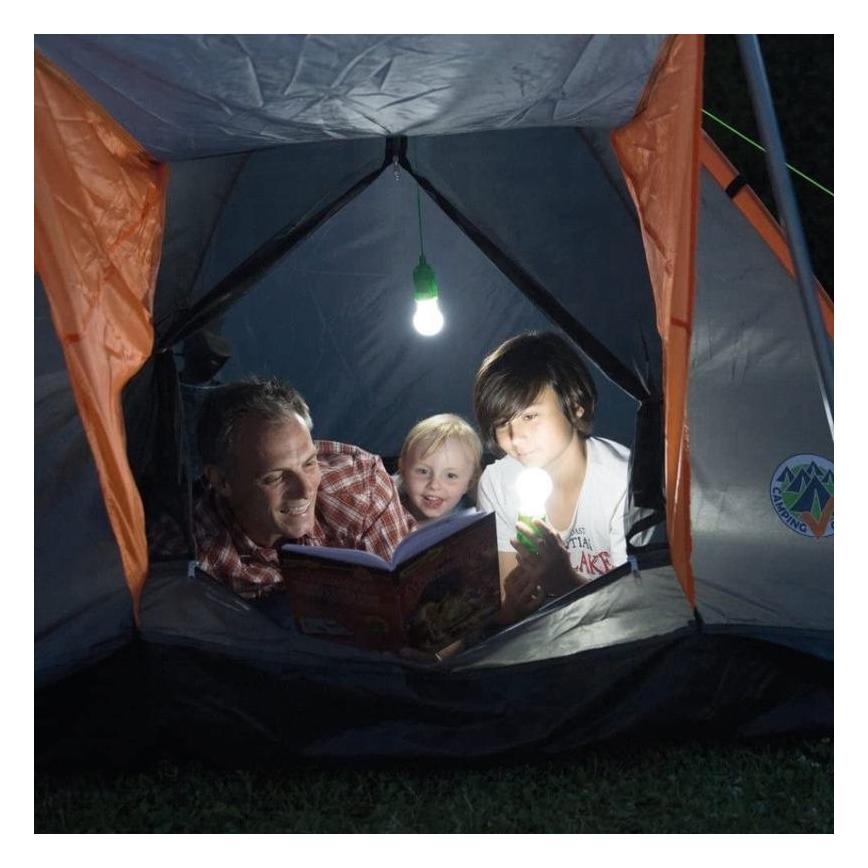 LED Portable lamp LED/1W/3xAAA green