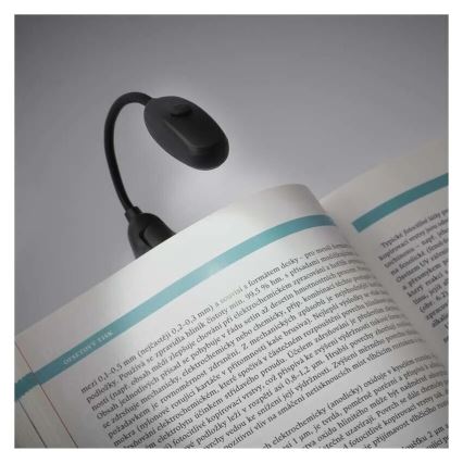 LED Reading lamp LED/1xAAA