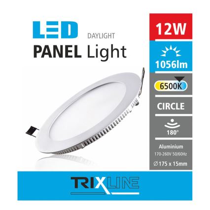 LED suspended ceiling light LED/12W/230V