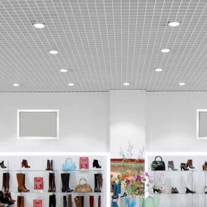 LED Recessed light SAMSUNG CHIP LED/10W/230V 6400K