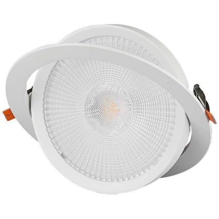 LED Recessed light SAMSUNG CHIP LED/10W/230V 6400K