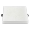 LED Recessed light SAMSUNG CHIP LED/20W/230V 4000K