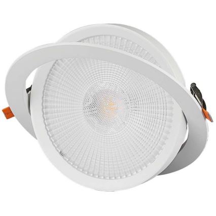 LED Recessed light SAMSUNG CHIP LED/30W/230V 6400K