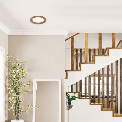 LED Recessed light WOODY SPOT LED/16,5W/230V 4000K walnut ø 18,5 cm