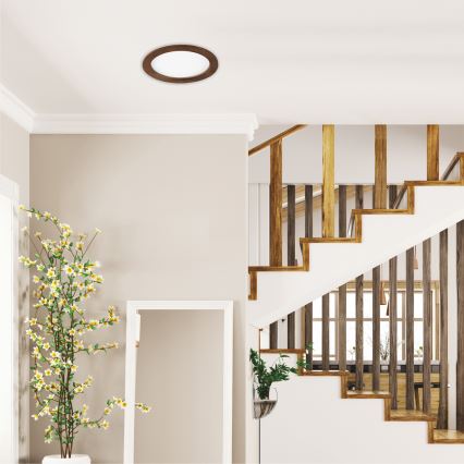 LED Recessed light WOODY SPOT LED/23,5W/230V 4000K cherry ø 23,5 cm