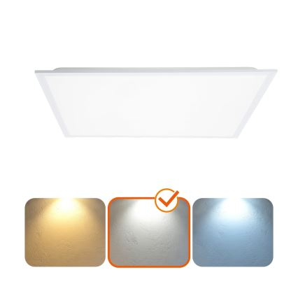 LED Recessed panel LED/40W/230V 4000K 60x60 cm