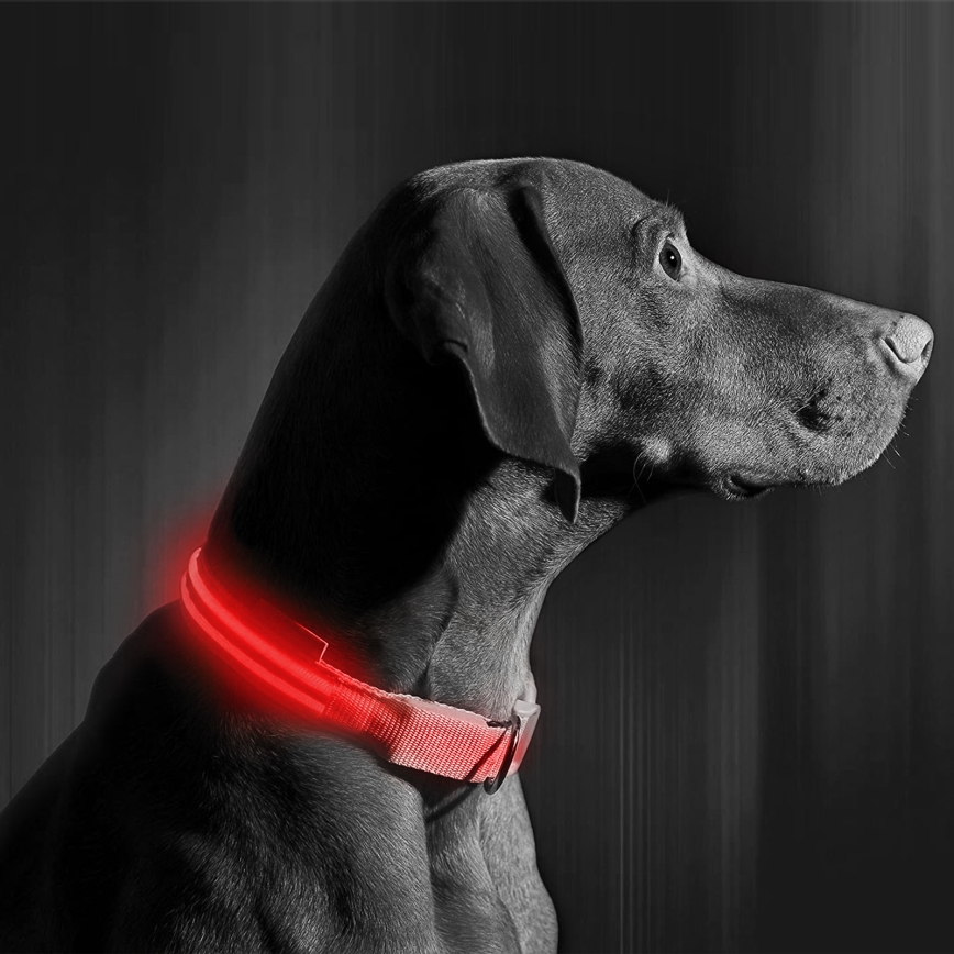 LED Rechargeable dog collar 35-43 cm 1xCR2032/5V/40 mAh red