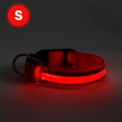LED Rechargeable dog collar 35-43 cm 1xCR2032/5V/40 mAh red