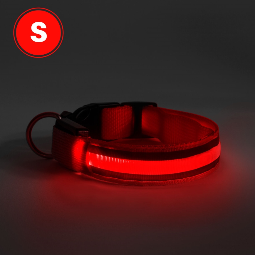 LED Rechargeable dog collar 35-43 cm 1xCR2032/5V/40 mAh red