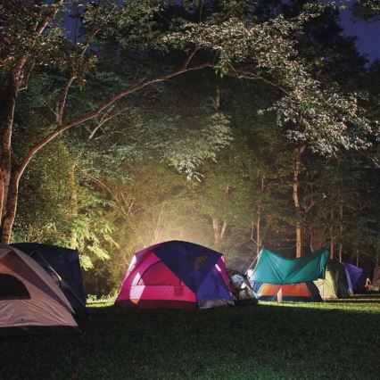 LED Rechargeable Flashlight LED/3,7V 4000 mAh