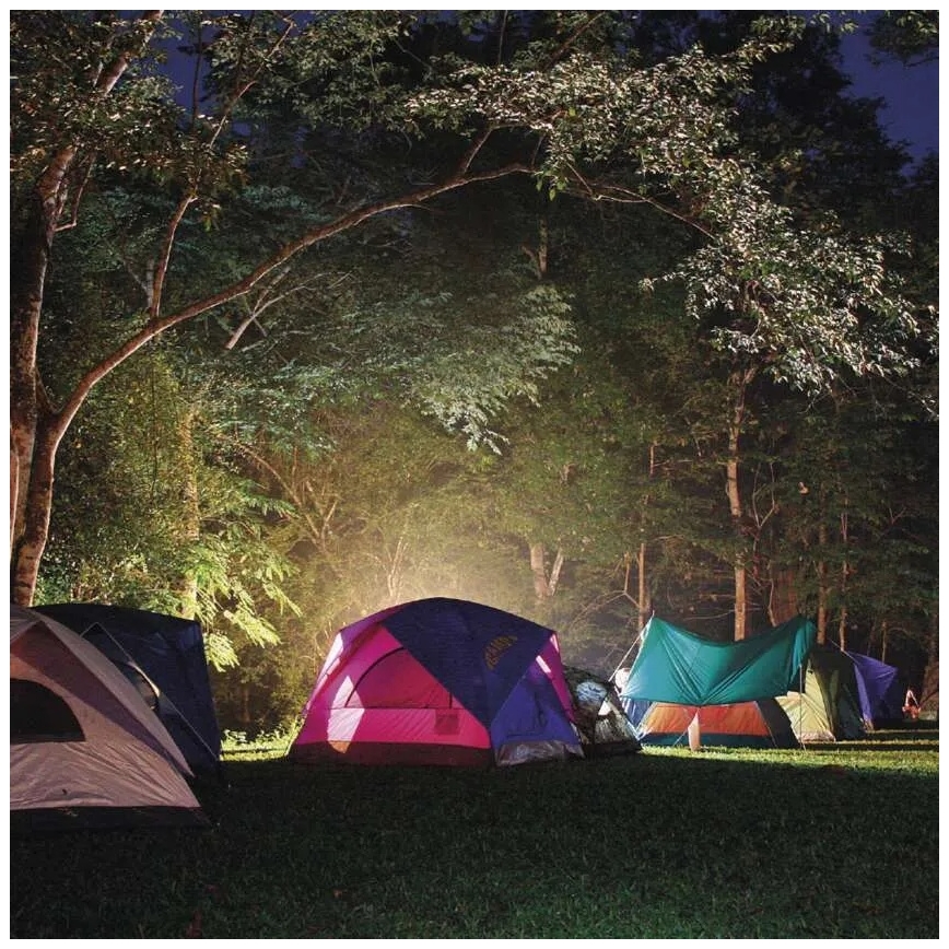 LED Rechargeable Flashlight LED/3,7V 4000 mAh