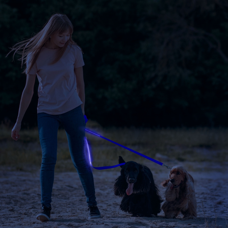 LED Rechargeable leash 120 cm 2xCR2032/5V/40 mAh blue