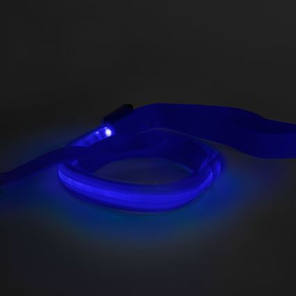 LED Rechargeable leash 120 cm 2xCR2032/5V/40 mAh blue