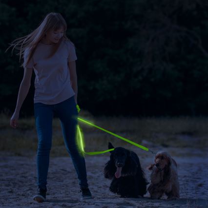 LED Rechargeable leash 120 cm 2xCR2032/5V/40 mAh green