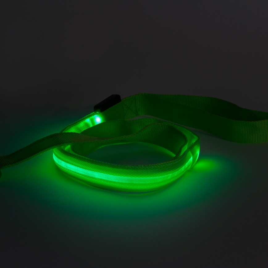 LED Rechargeable leash 120 cm 2xCR2032/5V/40 mAh green