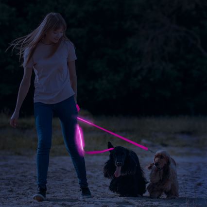 LED Rechargeable leash 120 cm 2xCR2032/5V/40 mAh pink