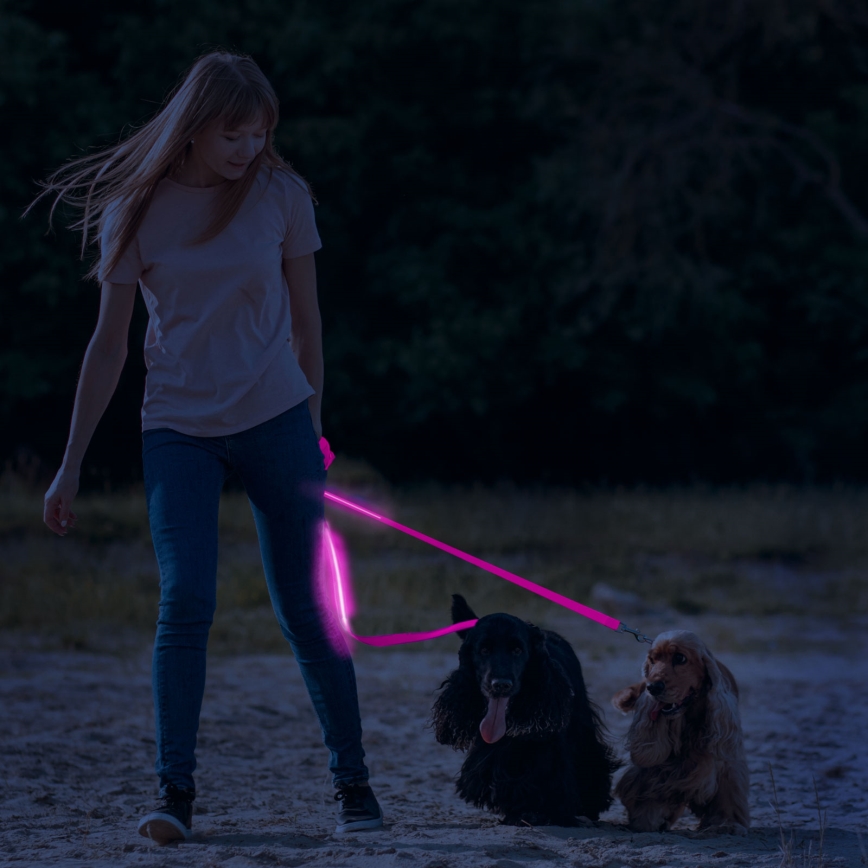 LED Rechargeable leash 120 cm 2xCR2032/5V/40 mAh pink