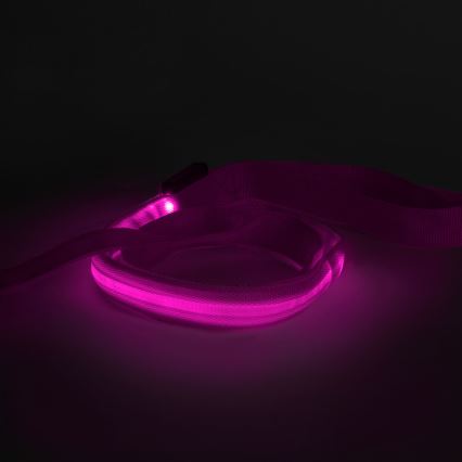 LED Rechargeable leash 120 cm 2xCR2032/5V/40 mAh pink