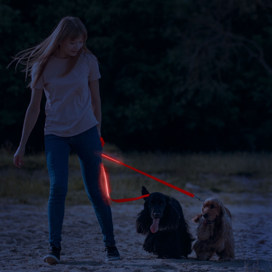 LED Rechargeable leash 120 cm 2xCR2032/5V/40 mAh red