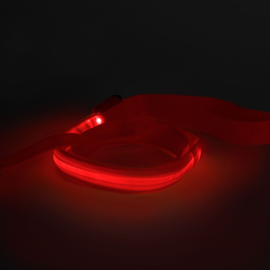 LED Rechargeable leash 120 cm 2xCR2032/5V/40 mAh red