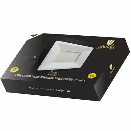 LED Reflector LED/100W/230V IP65