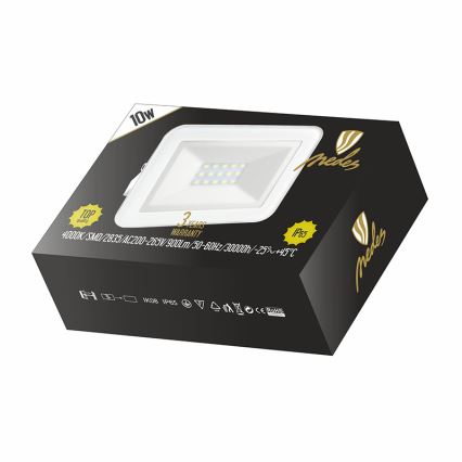 LED Reflector LED/10W/230V IP65