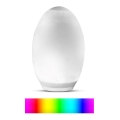LED RGB Decorative solar lamp 0,2W/1xAA IP44 500 mAh