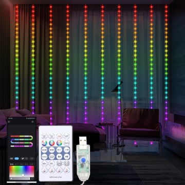 LED RGB Dimmable Christmas curtain WIZARD 300xLED/USB 3x3m + remote control