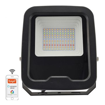 LED RGB Dimmable floodlight LED/30W/230V 3000K-6500K Wi-Fi Tuya IP65