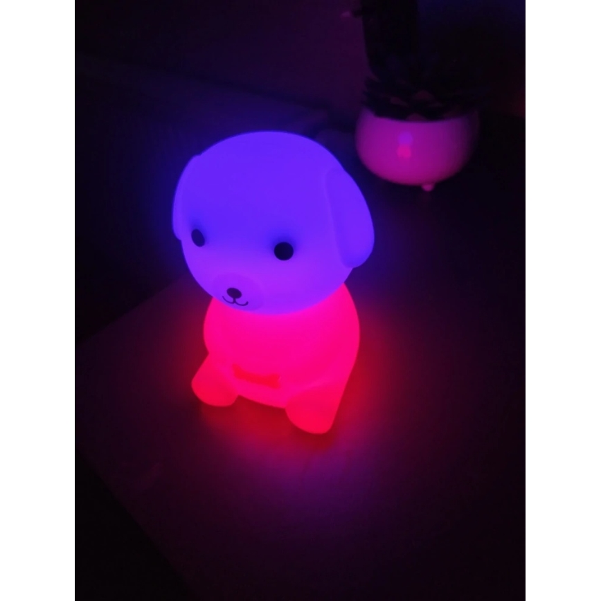 LED RGBW Dimmable rechargeable children's night light LED/2,5W/5V 3000K 1200 mAh dog